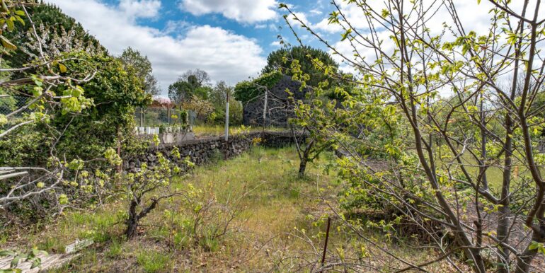 20240422181858-853382-18