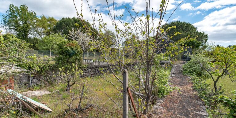 20240422181904-853382-19