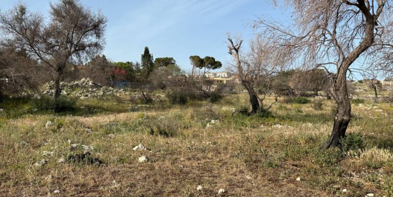 20240423145135-852596-15