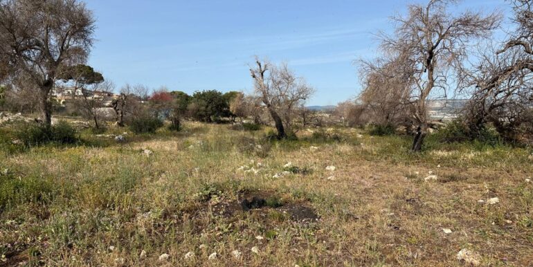 20240423145138-852596-16