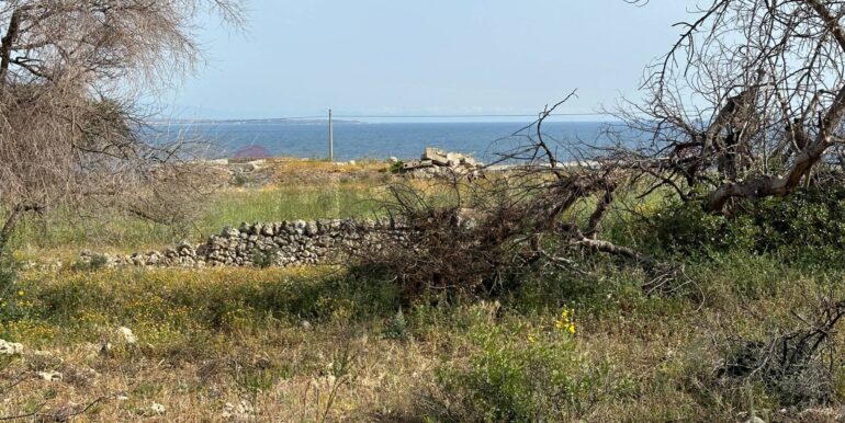 20240423145141-852596-17