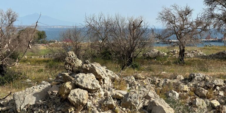 20240423145147-852596-19