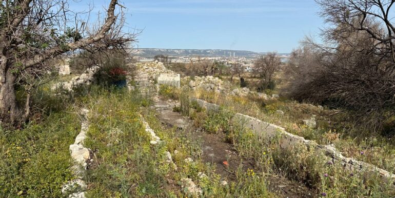 20240423145153-852596-21