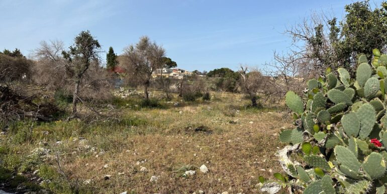 20240423145157-852596-23