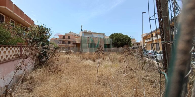 20240618191348-870724-6