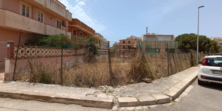 20240618191352-870724-8