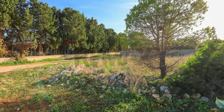 20240619161140-870893-4