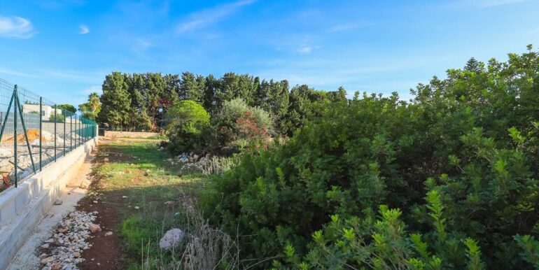 20240619161140-870893-5