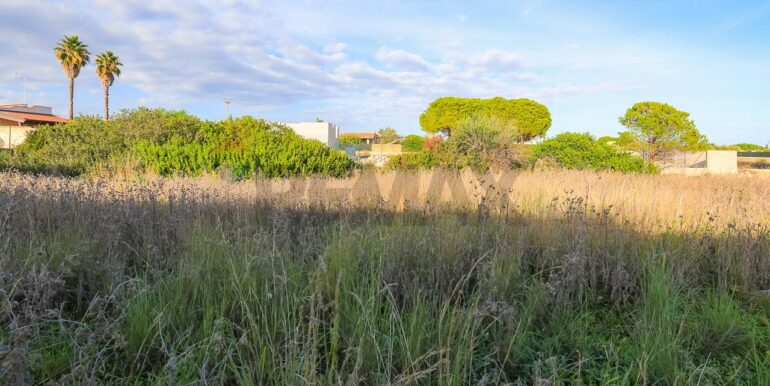 20240619161141-870893-8