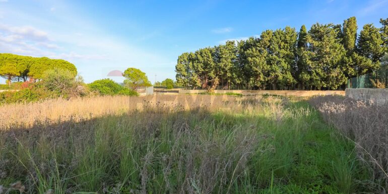 20240619161142-870893-9