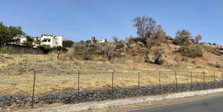 20240628155106-873565-1