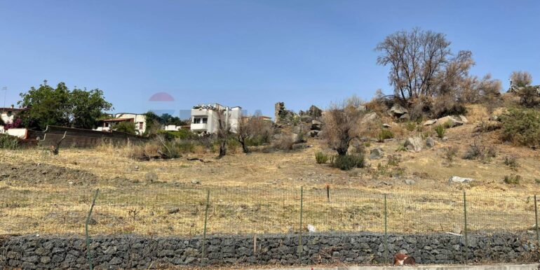 20240628165245-873565-7