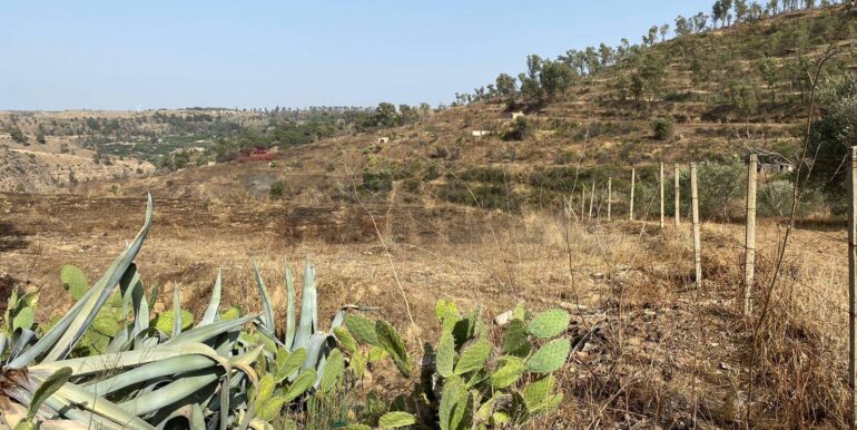 2024071891550-876324-1