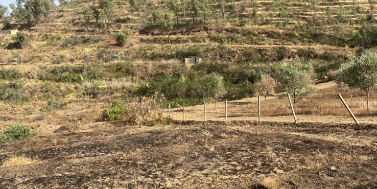 2024071891552-876324-2