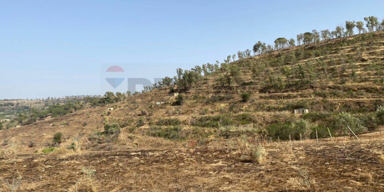 2024071891554-876324-3