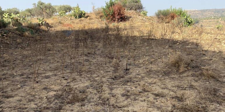 2024071891555-876324-4