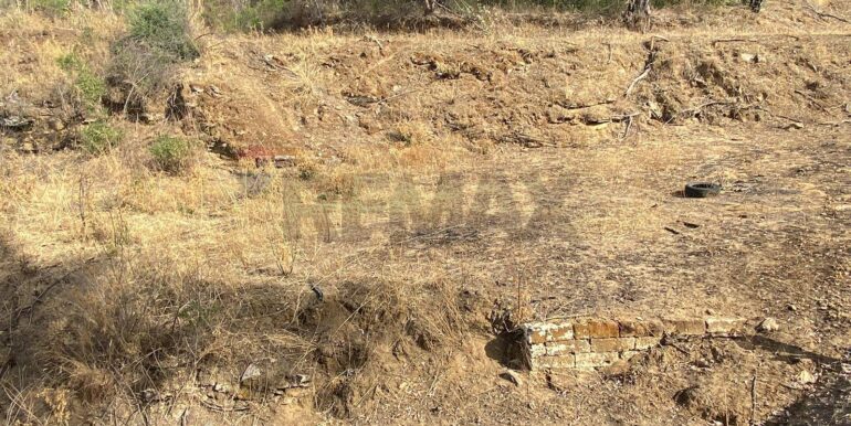 2024071891557-876324-5