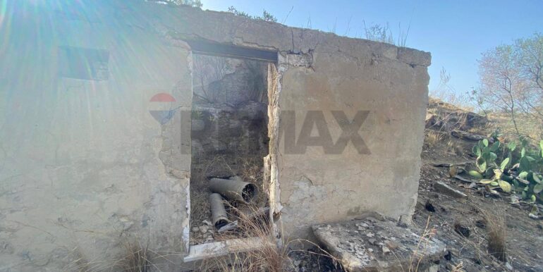 2024071891603-876324-8