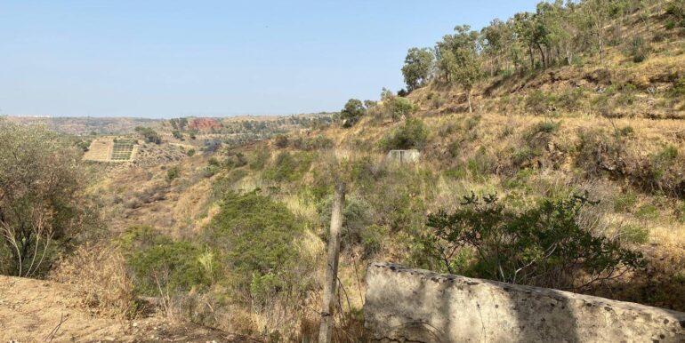 2024071891604-876324-9