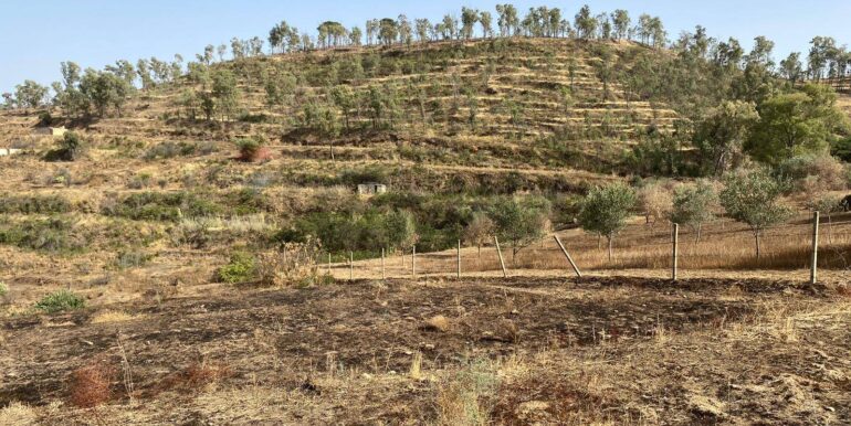 2024071891608-876324-11