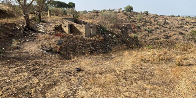 2024071891610-876324-12