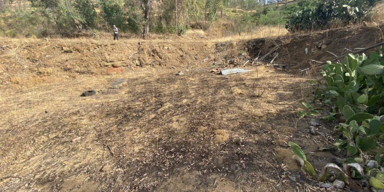 2024071891612-876324-13