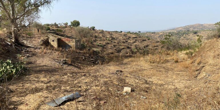 2024071891615-876324-15