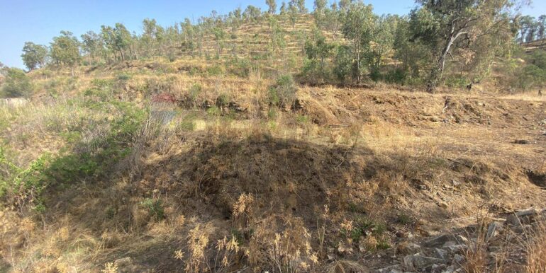 2024071891617-876324-16