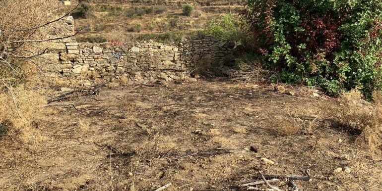 2024071891619-876324-17