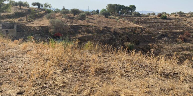 2024071891623-876324-19