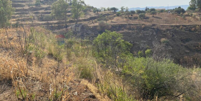 2024071891625-876324-20