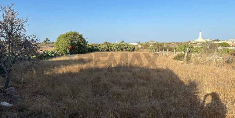 20240723111347-878357-1