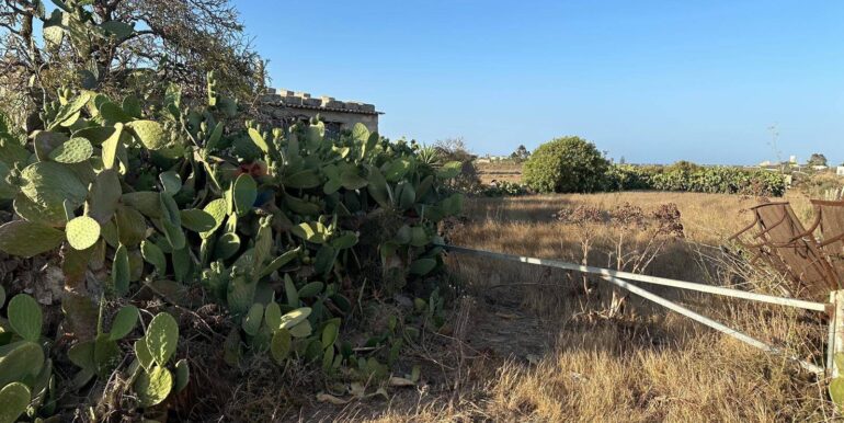 20240723111351-878357-4