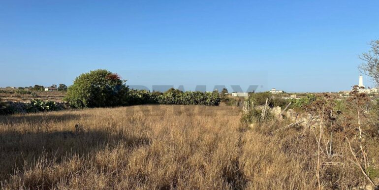 20240723111354-878357-6