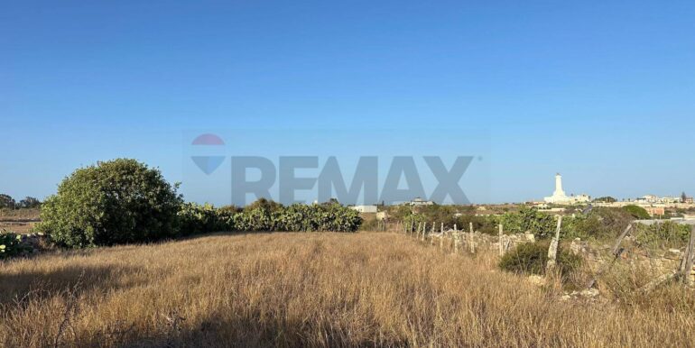 20240723111355-878357-7