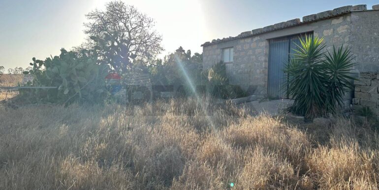 20240723111357-878357-8