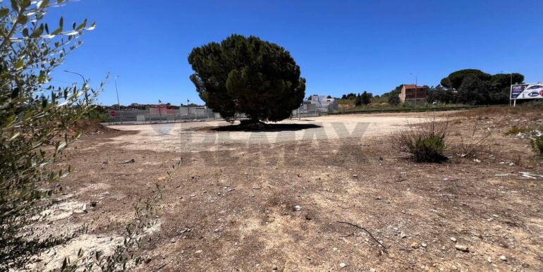 20240729175108-879493-4