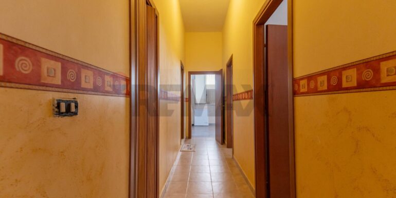 2024080392113-879136-22