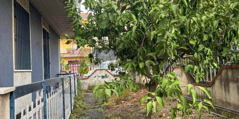 2024082281711-882906-2