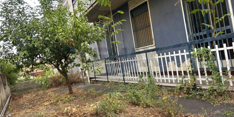 2024082281739-882906-4