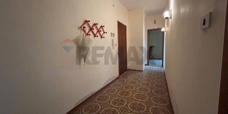 2024082281741-882906-5