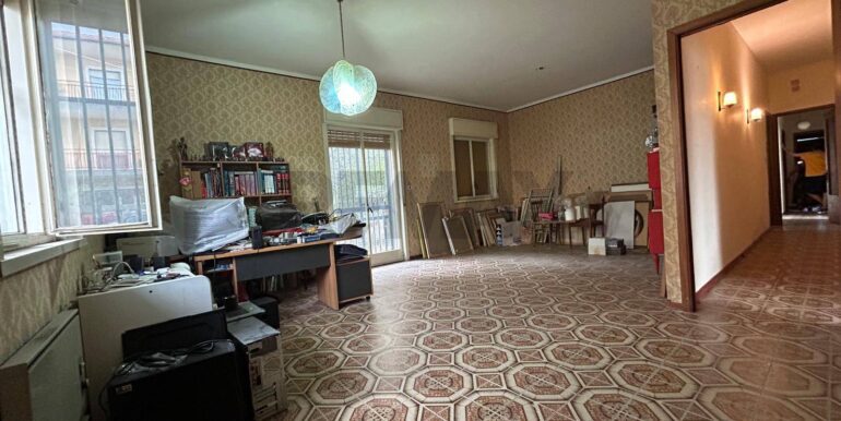 2024082281744-882906-7