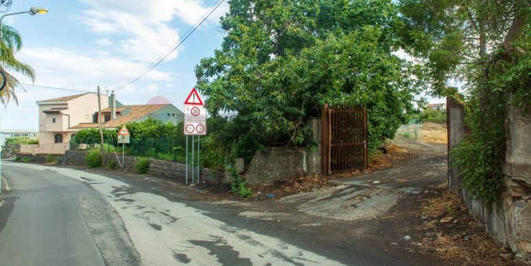 2024082785349-883515-1