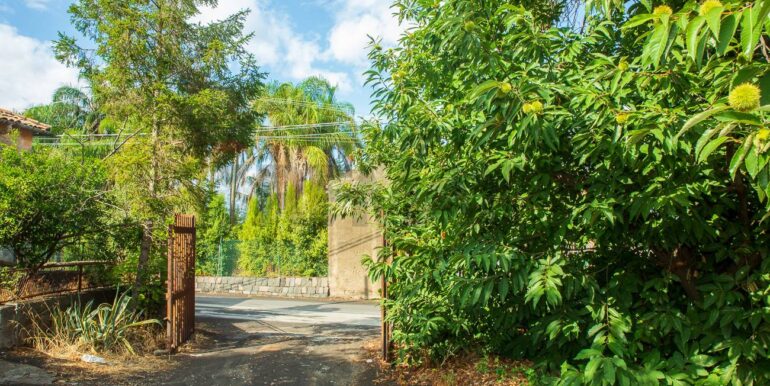 2024082785402-883515-4