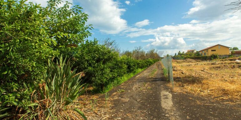 2024082785406-883515-5