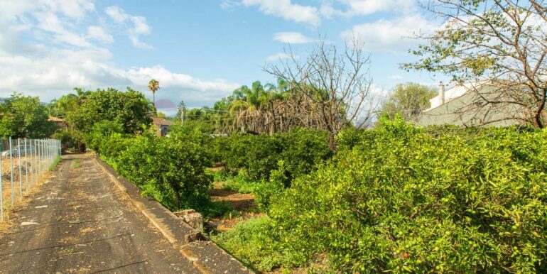 2024082785414-883515-7