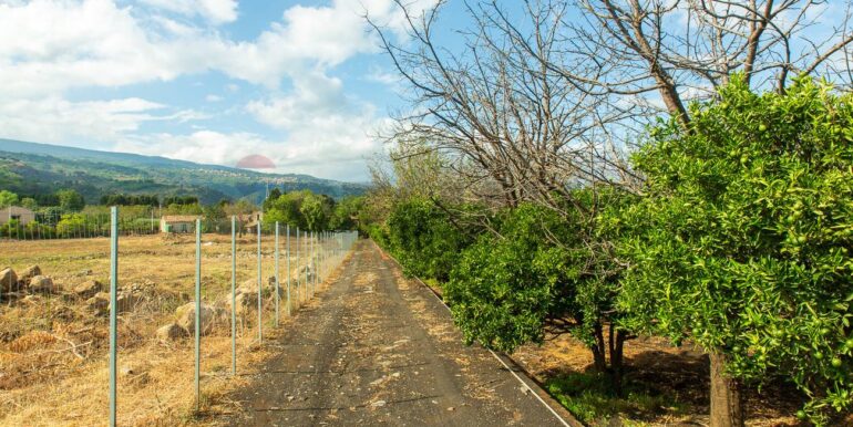 2024082785419-883515-8