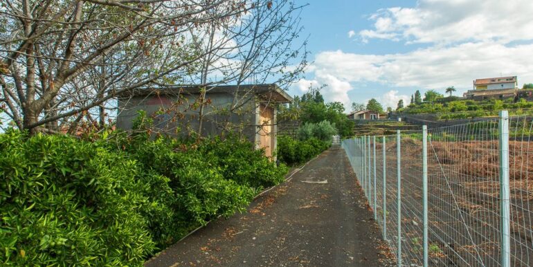 2024082785423-883515-9