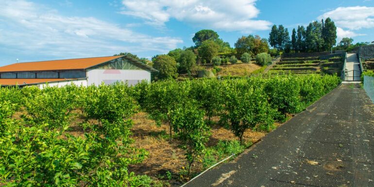 2024082785436-883515-12