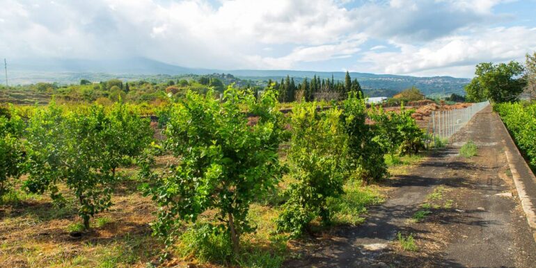 2024082785445-883515-14